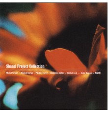 Various - Shanti Project Collection 2