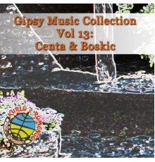 Various - Gipsy Music Collection Vol. 13
