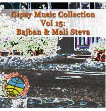 Various - Gipsy Music Collection Vol. 15
