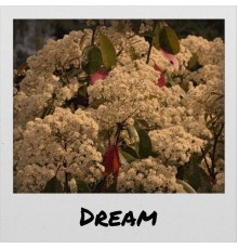 Various Artist - Dream