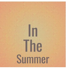 Various Artist - In The Summer