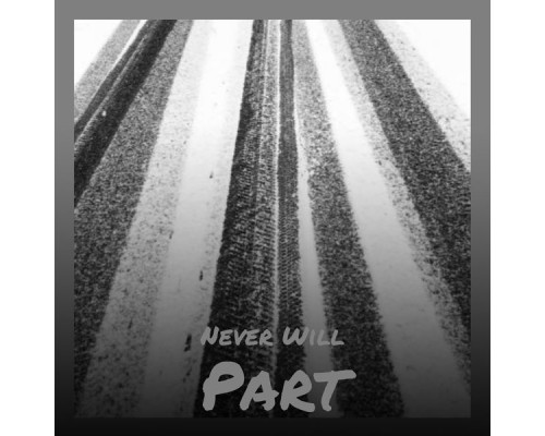 Various Artist - Never Will Part