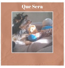 Various Artist - Que Sera