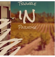 Various Artist - Trouble in Paradise