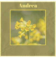 Various Artist - Andrea