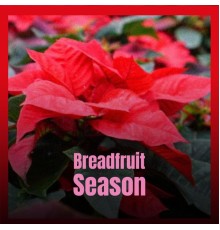 Various Artist - Breadfruit Season