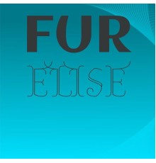 Various Artist - Fur Elise