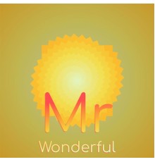 Various Artist - Mr Wonderful