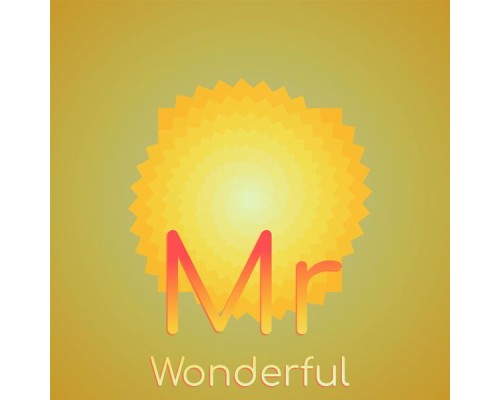 Various Artist - Mr Wonderful