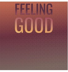 Various Artist - Feeling Good