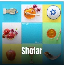 Various Artist - Shofar