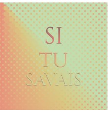 Various Artist - Si tu savais