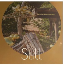 Various Artist - Still