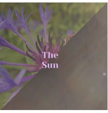 Various Artist - The Sun