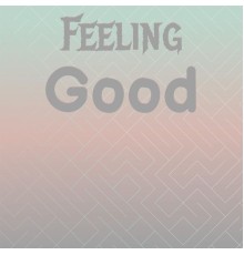 Various Artist - Feeling Good