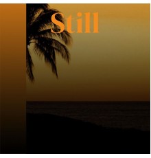 Various Artist - Still