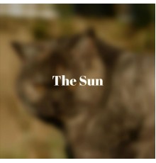 Various Artist - The Sun