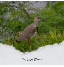 Various Artist - Hey Little Woman