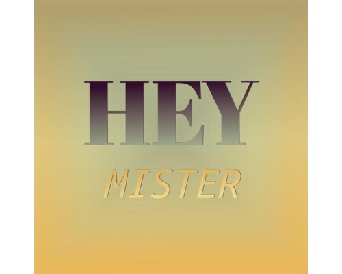 Various Artist - Hey Mister