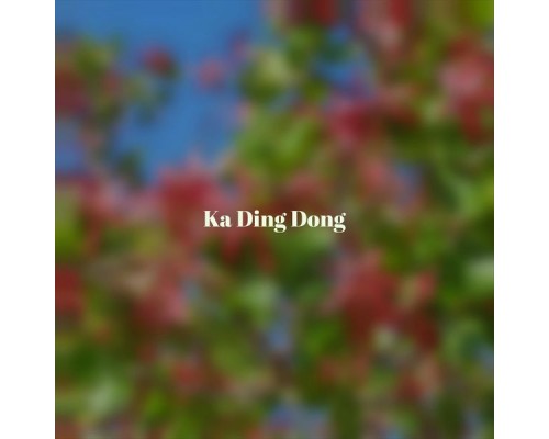 Various Artist - Ka Ding Dong