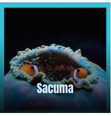 Various Artist - Sacuma