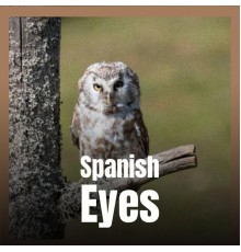 Various Artist - Spanish Eyes