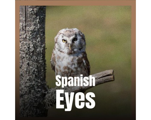 Various Artist - Spanish Eyes