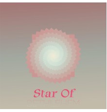 Various Artist - Star Of Bethlehem