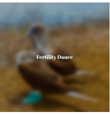 Various Artist - Fertility Dance