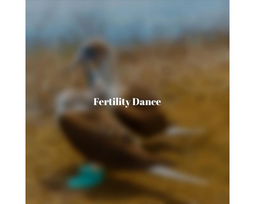 Various Artist - Fertility Dance