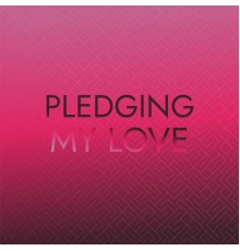 Various Artist - Pledging My Love