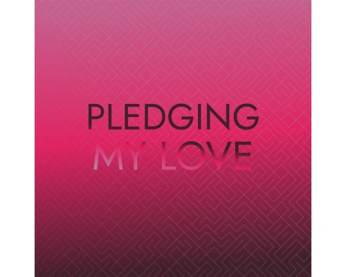 Various Artist - Pledging My Love