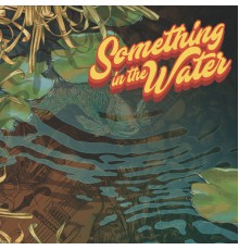 Various Artist's - Something in the Water