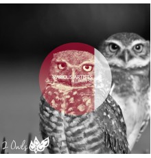 Various Artists - All Owls Six