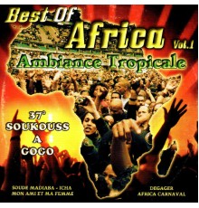 Various Artists - Ambiance tropicale - Soukouss a gogo, Vol. 1