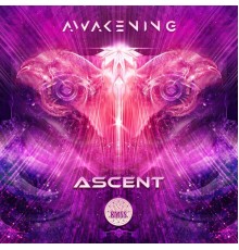 Various Artists - Awakening