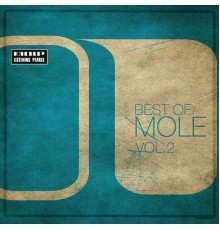 Various Artists - Best Of Mole Vol. 2 - 2004-2007