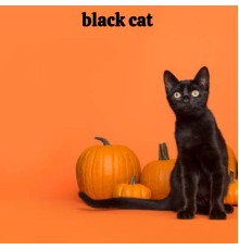 Various Artists - Black Cat