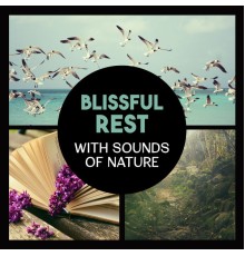 Various Artists - Blissful Rest with Sounds of Nature – Music for Deep Sleep, Natural Calmness and Stress Relief, Yoga and Relaxation in Green Space