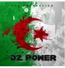 Various Artists - DZ Power