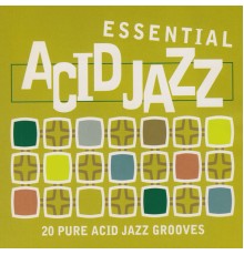 Various Artists - Essential Acid Jazz