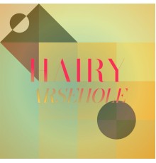 Various Artists - Hairy Arsehole