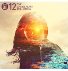 Various Artists - Intrigue 12: The Anniversary Collection