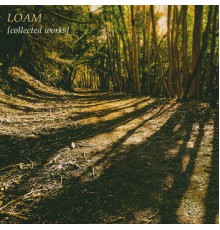 Various Artists - LOAM