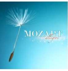 Various Artists - Mozart Allegros