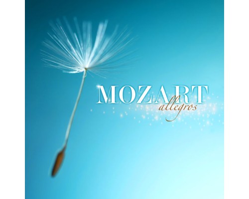 Various Artists - Mozart Allegros