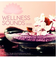 Various Artists - Musik zur Entspannung: Wellness Sounds 2022