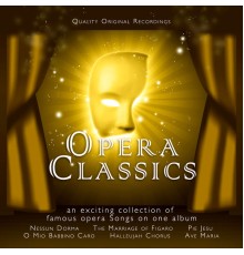Various Artists - Opera Classics (Various Artists)