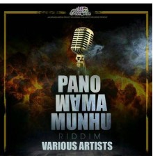 Various Artists - Panomama Munhu