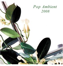 Various Artists - Pop Ambient 2008